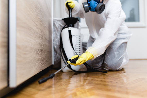 Best Residential Pest Control  in Strasburg, VA