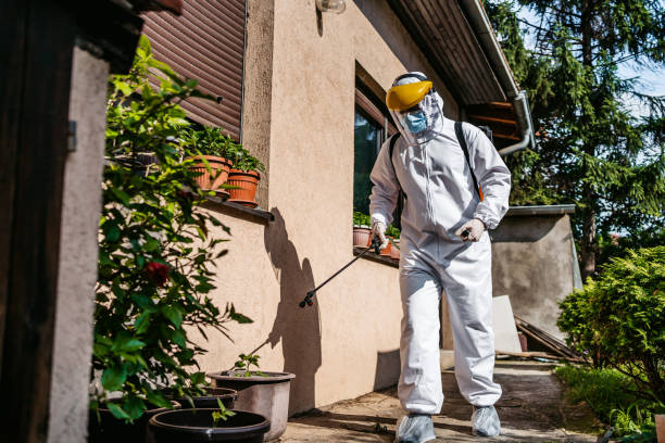 Best Residential Pest Control  in Strasburg, VA