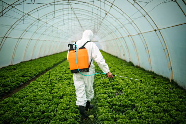 Best Best Pest Control Companies  in Strasburg, VA