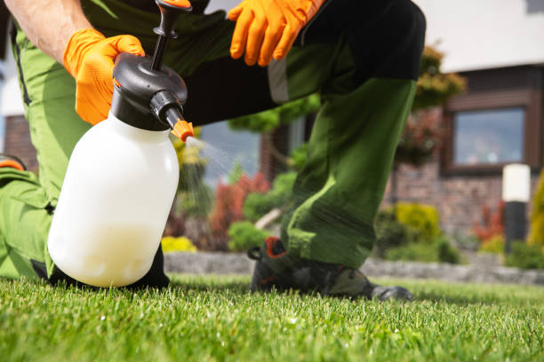 Flea Control Services in Strasburg, VA