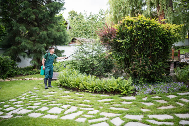 Reliable Strasburg, VA Pest Control Solutions