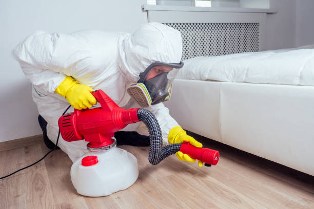 Best Termite Control Services  in Strasburg, VA