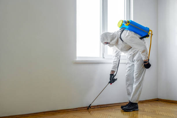 Strasburg, VA Pest Control Company