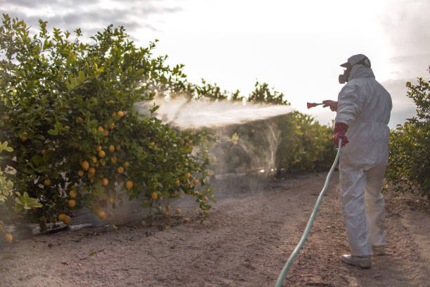 Best Pest Control for Businesses  in Strasburg, VA