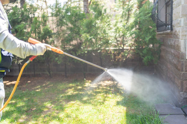 Best Local Pest Control Services  in Strasburg, VA